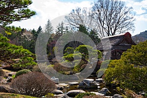 spring garden at ancient Oshino Hakkai village near Mt. Fuji, Fuji Five Lake region