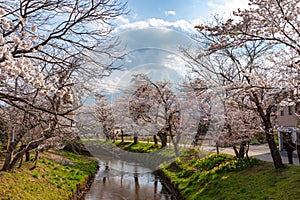 spring garden at ancient Oshino Hakkai village near Mt. Fuji, Fuji Five Lake region