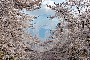 spring garden at ancient Oshino Hakkai village near Mt. Fuji, Fuji Five Lake region