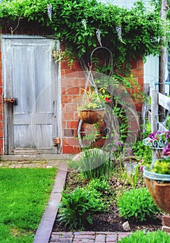 Spring garden area with old building and wisteria vine. 