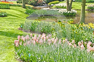 Spring Garden Armony