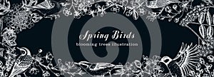 Spring garden background with birds, flowers, blooming tree branches on chalkboard. Hand drawn almond, willow, rowan, willow,
