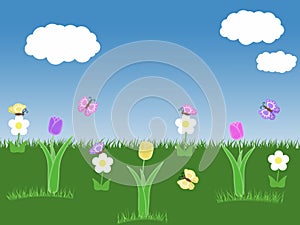 Spring garden background with tulips butterflies blue sky green grass white flowers and clouds illustration