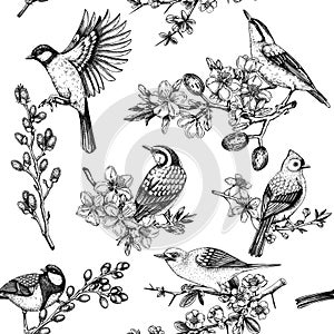 Spring garden background. Vintage seamless patter with birds, flowers, leaves and blooming tree branches. Hand drawn almond,