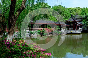 Spring Garden-Classical Gardens of Suzhou