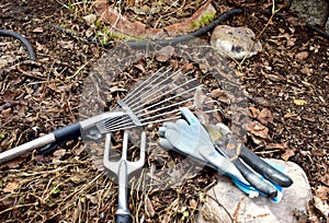 Spring garden clean up after winter weather.