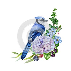 Spring garden floral decor with blue jay bird. Watercolor illustration. Hand drawn jay with spring garden flower