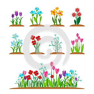 Spring garden flowers icon set. Forest flower isolated on white background. Blossom summer plant collection. Vector