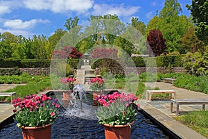 Formal Garden photo