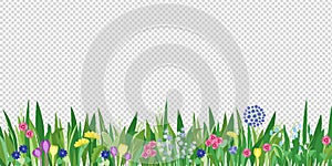 Spring garden grass and flowers border. Cartoon vector flower background. Green elements on transparent background photo