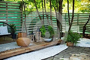 Spring garden at home. Interior Terrace with green plants and trees in courtyard. Cozy garden corner with houseplants in pots. Sum