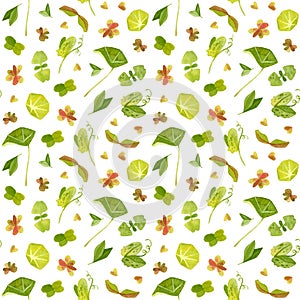 Spring garden leaves of pea, oxalis, beet, nasturtium, radish, basil, coriander seamless pattern.