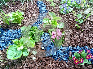 Spring garden with mulch