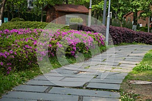 Spring garden path