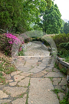 Spring garden path