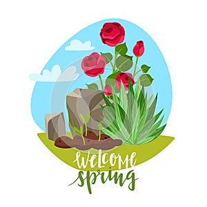 Spring garden plants lettering illustration