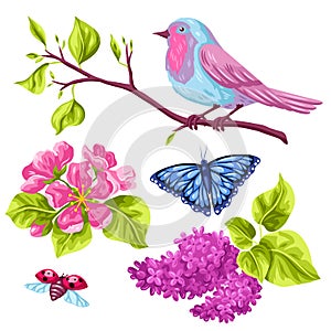 Spring garden set of objects. Natural illustration with blossom flower, robin birdie and butterfly photo