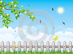 Spring garden. White fence with grass. Spring day.