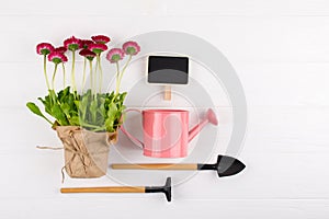 Spring Garden Works Concept. Gardening tools, flowers in pots and watering can on white table. flat lay