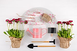 Spring Garden Works Concept. Gardening tools, flowers in pots and watering can on white table.  flat lay