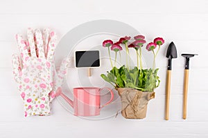 Spring Garden Works Concept. Gardening tools, flowers in pots and watering can on white table. top view,