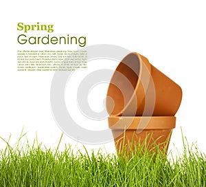 Spring gardening