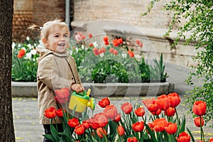 Spring Gardening Activities for Kids. Cute toddler little girl in raincoat watering red tulips flowers in the spring