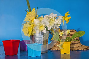 Spring gardening concept: bouquet of white and yellow daffodils, primerose, flower pots and vintage straw hat