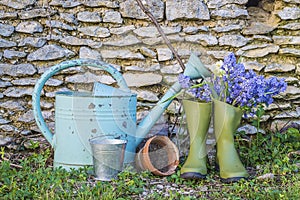 Spring gardening concept: old watering can, bouquet of blue hyacinth flowers in the rubber boots