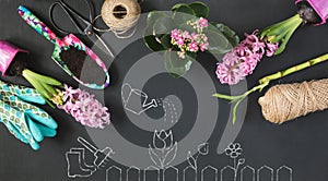 Spring gardening concept with pink kalanchoe and tools on black chalkboard. Top view.