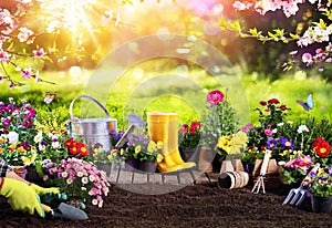 Spring-Gardening- Flowerpots An Equipment