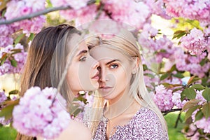 Spring girls fashion. Portrait of a two beautiful sensual sexy woman in cherry blossoms.