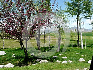Spring is in the Gissar valley