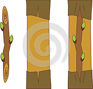 Spring grafting tree.