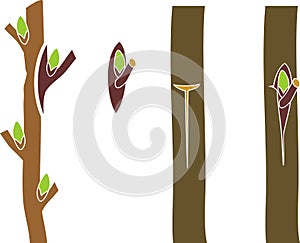 Spring grafting tree.