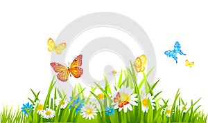 Beautiful spring background with a blue butterfly in flight and anemone flowers in a forest in nature. Delicate elegant dreamy air