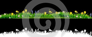 Spring grass and daisy wildflowers isolated with clipping path and alpha channel