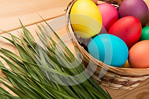 Spring grass and Easter eggs in a basket