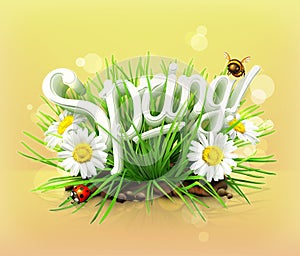 Spring, grass, flowers of camomile and ladybug