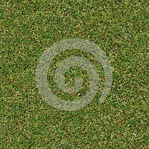 Spring Grass. Seamless TileableTexture.