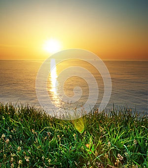 Spring grass and seascape