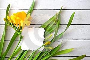 Spring grass and yellow flowers with buds with card on wood background