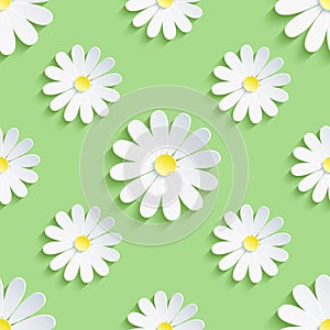 Spring green background seamless pattern with chamomile