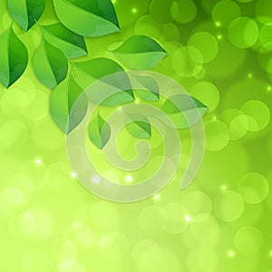 Spring green bokeh abstract light background with