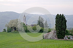 Spring in the green countryside