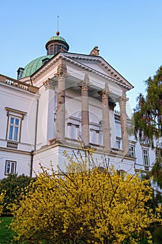 Spring green meadow with yellow flowers, in the background an old castle.