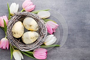 Spring greeting card. Easter eggs in the nest. Spring flowers tu