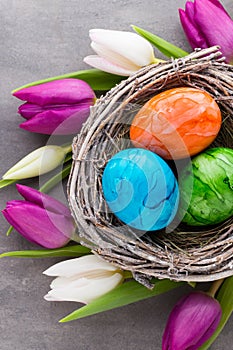 Spring greeting card. Easter eggs in the nest. Spring flowers tu