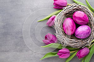 Spring greeting card. Easter eggs in the nest. Spring flowers tu