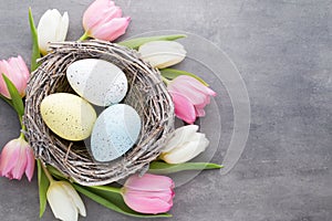 Spring greeting card. Easter eggs in the nest. Spring flowers tu